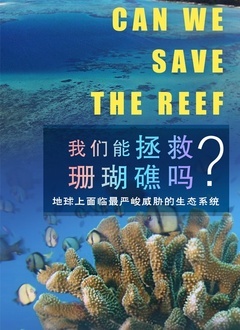 我们能拯救珊瑚礁吗在线观看