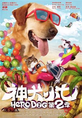 神犬小七 第二季海报图片