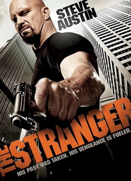 陌生人（2010）海报图片